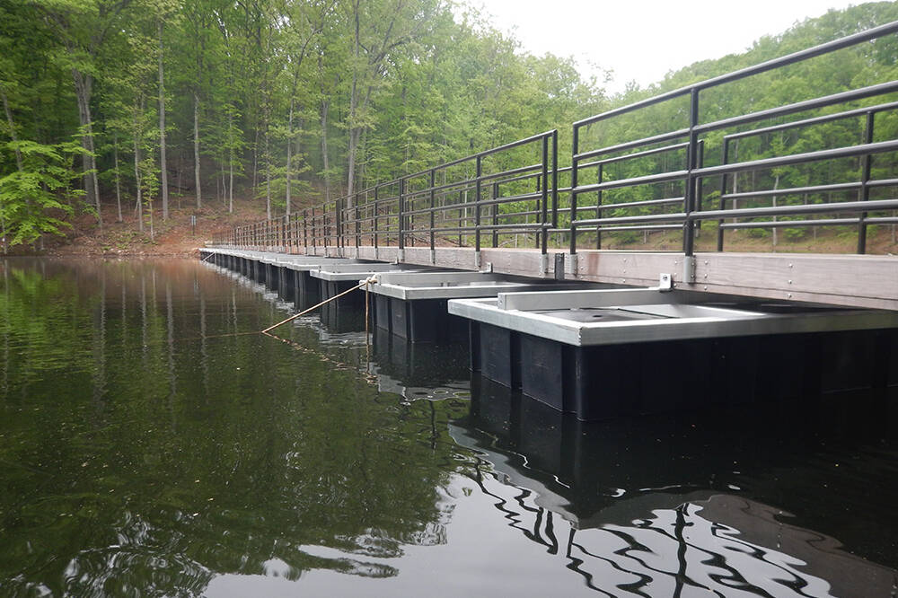 Floating Bridge at Site
