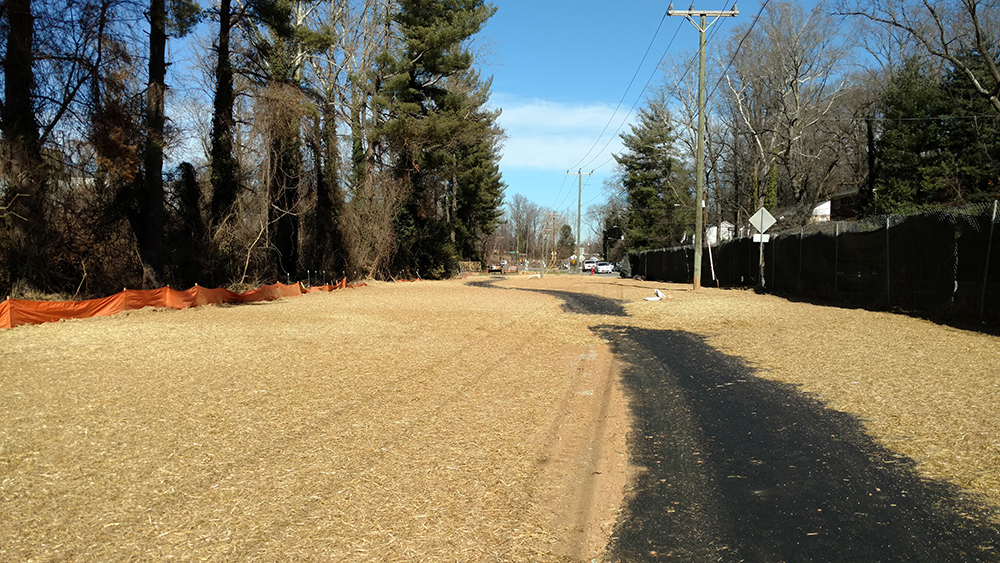 Schenks Complete (February 2017)