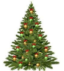 christmas tree
