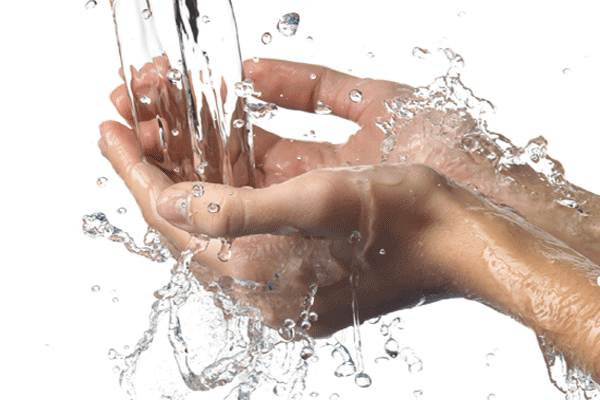 hands