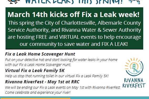 pScreenshot 2022 03 09 130931