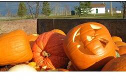 Screenshot 2022 10 24 133601