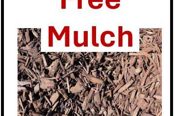 MulchCapture