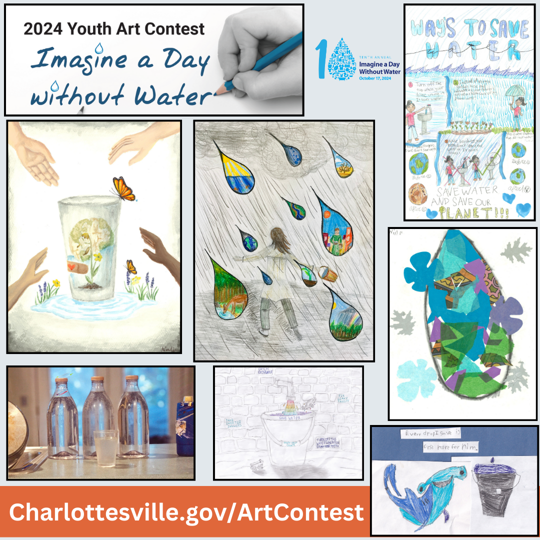 2024 IADWW Winners Sq